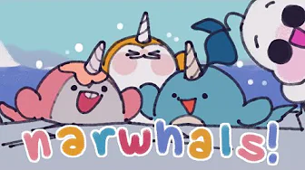 Narwhals:  Animated Music Video