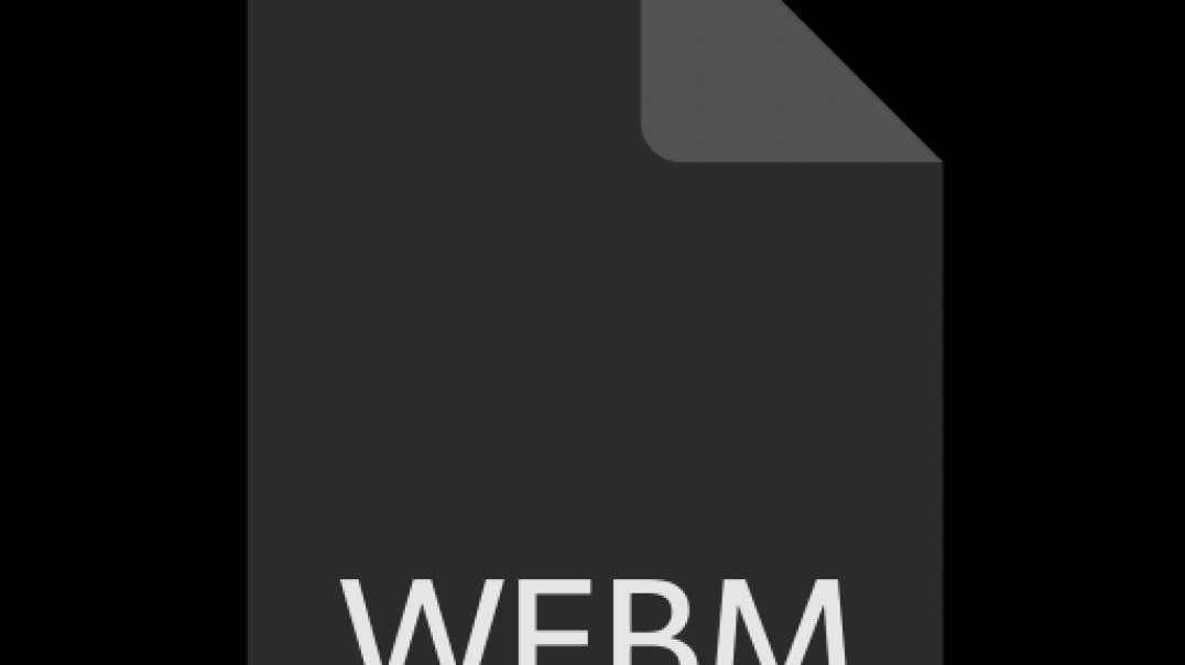 file_example_WEBM_640_1_4MB.webm