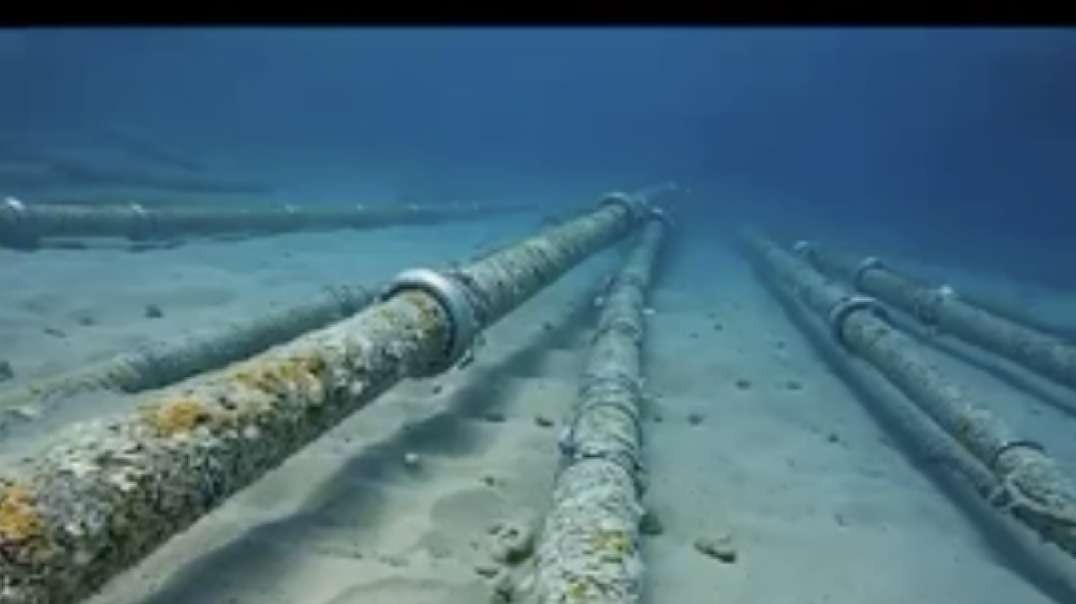 What Do You Know About The Deep Sea